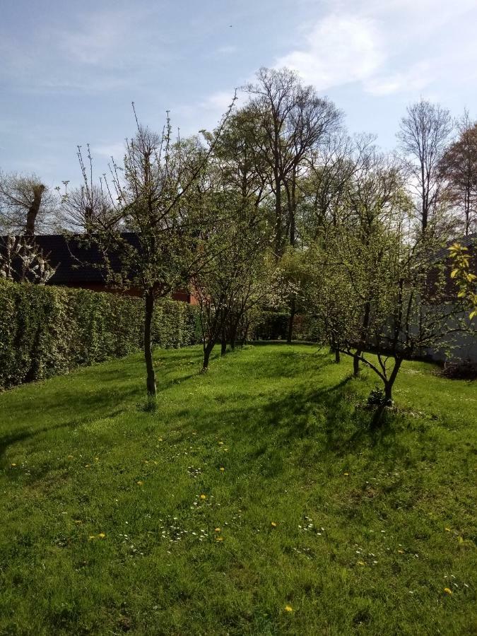 Gite Du Montagnard Oxelaere 外观 照片