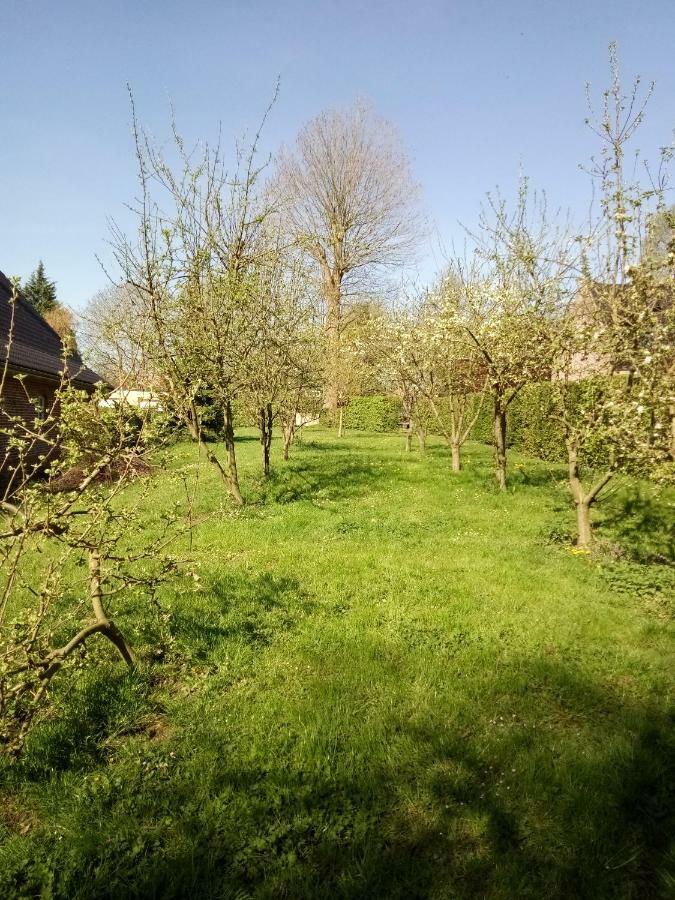 Gite Du Montagnard Oxelaere 外观 照片