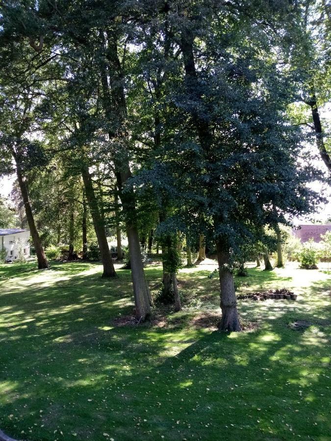 Gite Du Montagnard Oxelaere 外观 照片